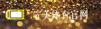 使用指南与常见问题